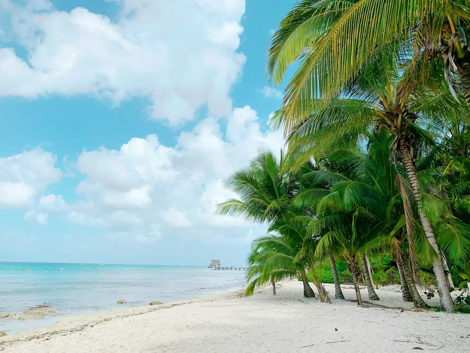 Palm trees lean over a white sand beach and turquoise water on Cozumel, with a pier in the distance.