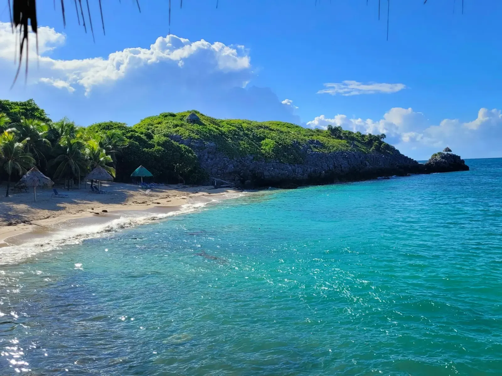A palm-lined cove with thatched umbrellas and clear turquoise water on Roatan.