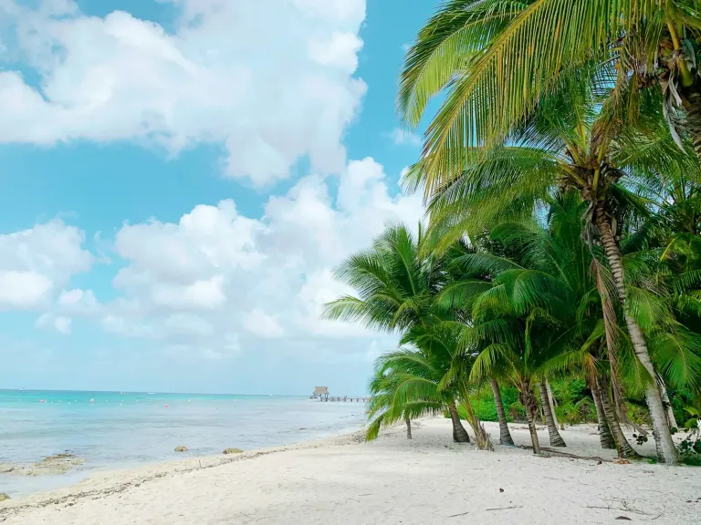 Palm trees lean over a white sand beach and turquoise water on Cozumel, with a pier in the distance.